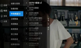 x91k 看电视直播