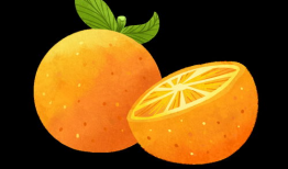 橙子漫画图片,趣味横生的日常瞬间